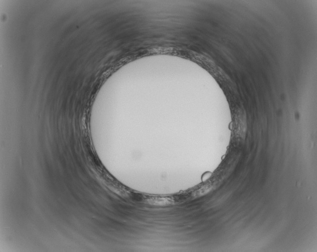 X0000085280711200703231807