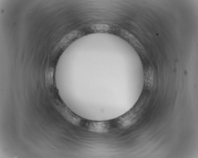 X0000085280717200703231807