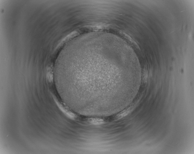 X0000085280719200703231807