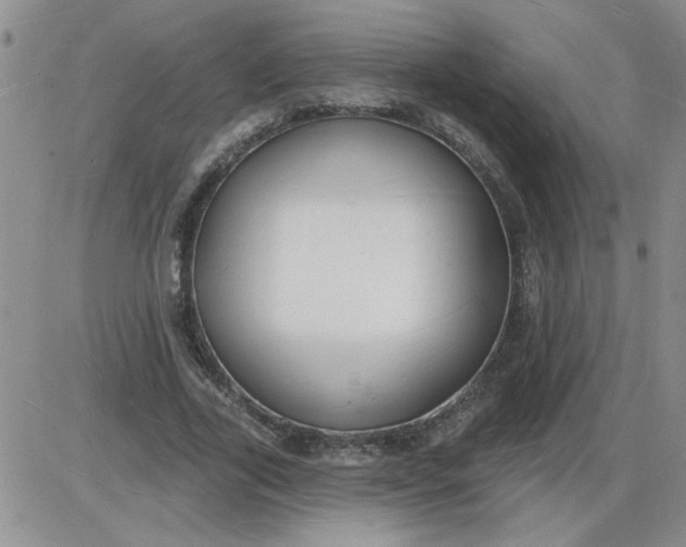 X0000085280731200703231806