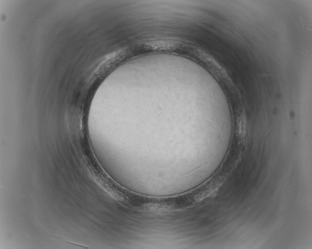 X0000085280733200703231806