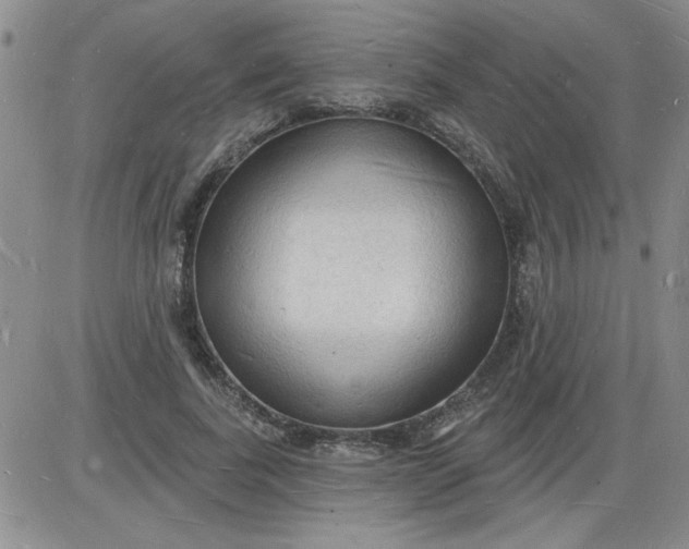 X0000085280739200703231806