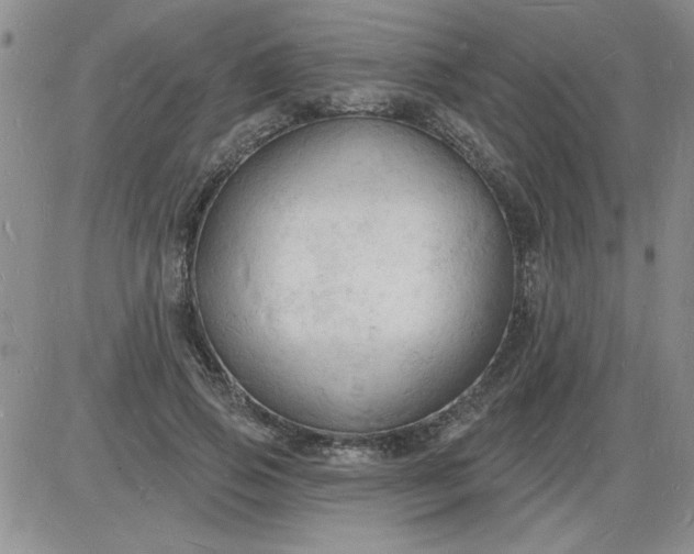 X0000085280741200703231807