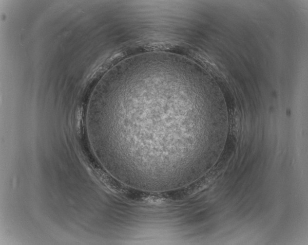 X0000085280742200703231807
