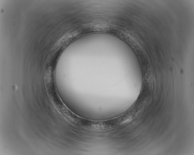 X0000085280744200703231807