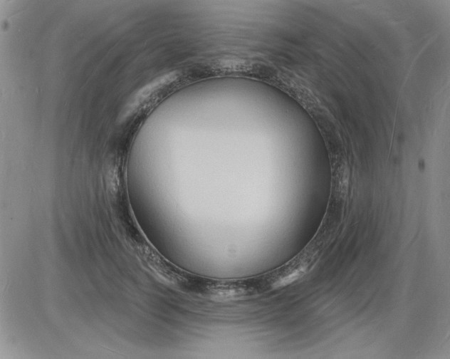 X0000085280746200703231807