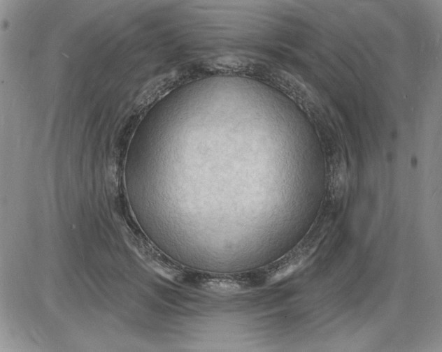 X0000085280749200703231807