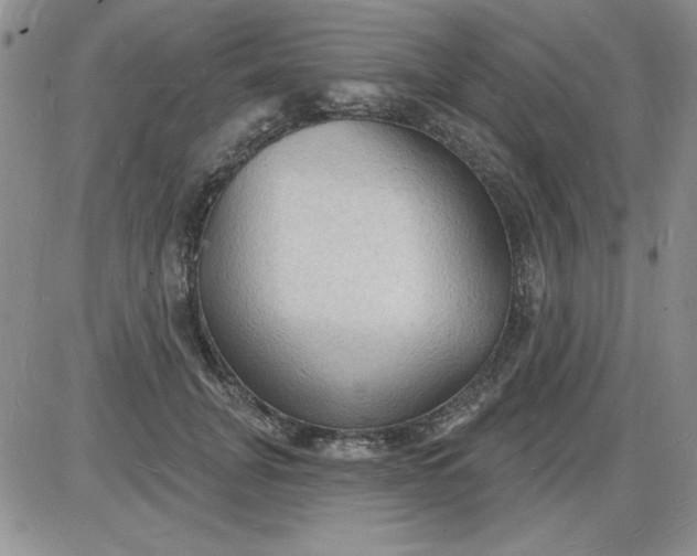X0000085280751200703231807
