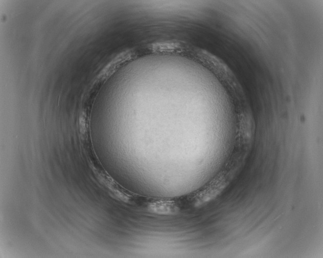 X0000085280761200703231807