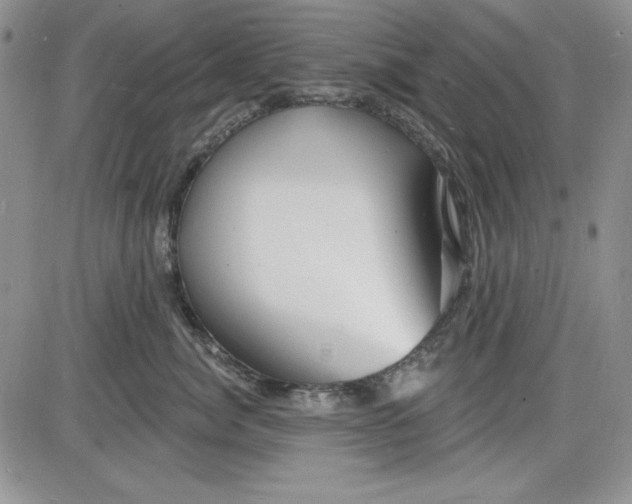 X0000085280764200703231807