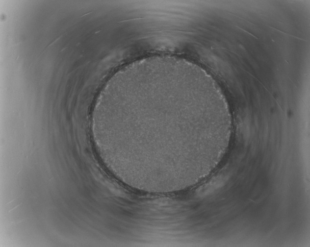 X0000085280769200703231806