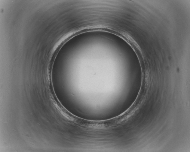 X0000085280789200703231806