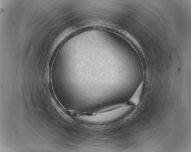 X0000085280791200703231806