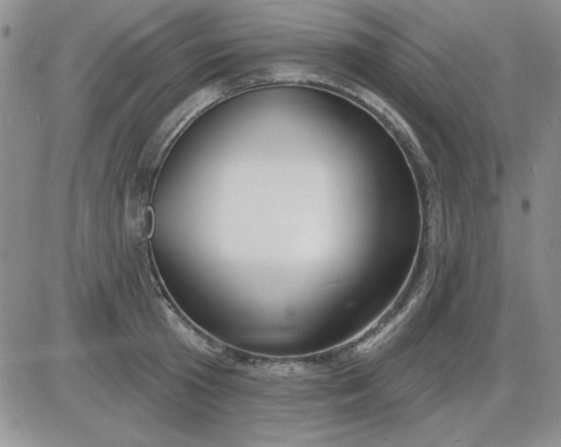 X0000085280801200703231806