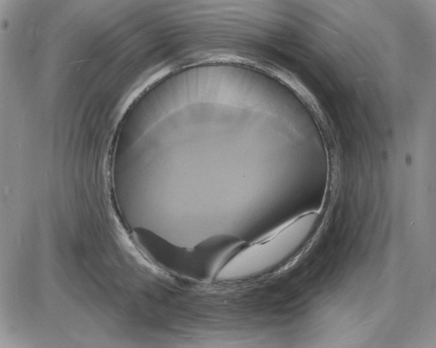 X0000085280806200703231806