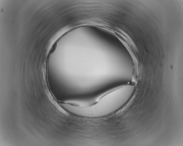 X0000085280812200703231805