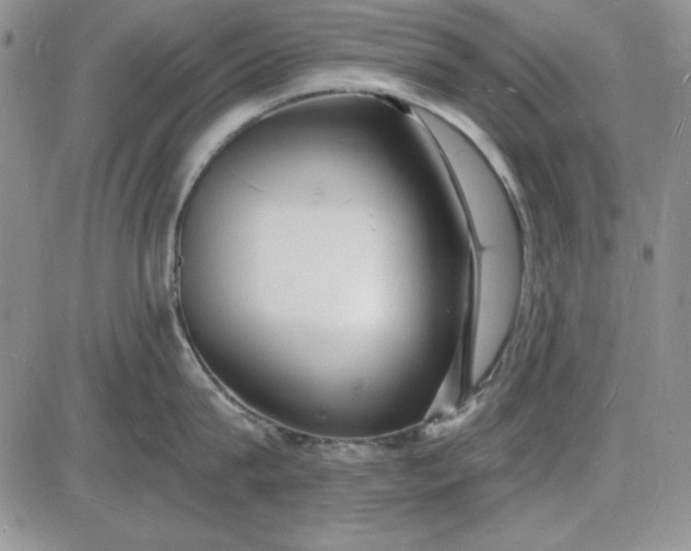 X0000085280815200703231805
