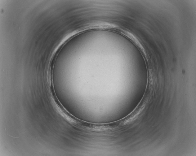 X0000085280843200703231805