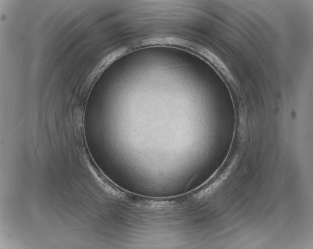 X0000085280849200703231805