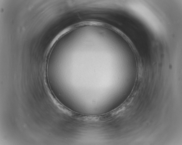 X0000085280861200703231805