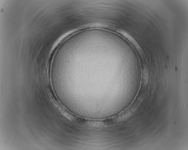X0000085280886200703231804