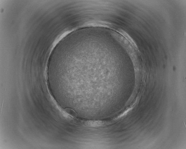 X0000085280893200703231804