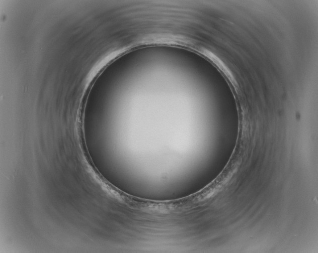 X0000085280901200703231804