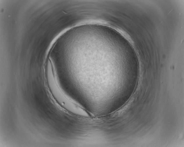 X0000085280912200703231804