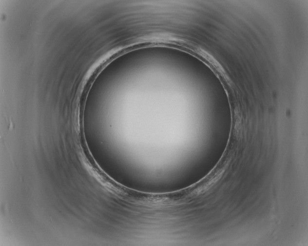 X0000085280939200703231803