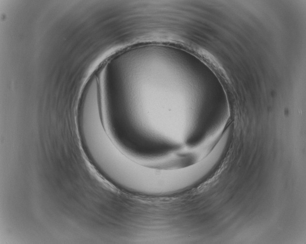 X0000085280942200703231803
