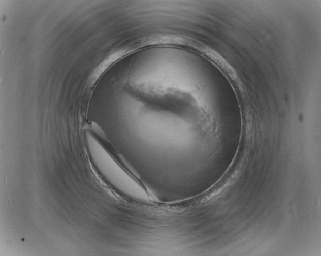 X0000085280945200703231804