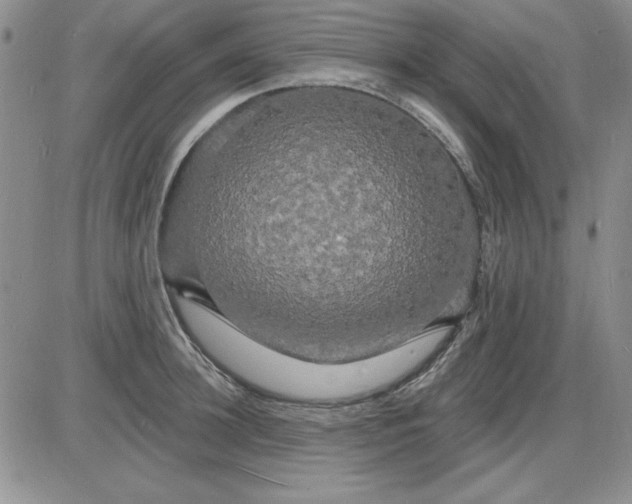 X0000085280948200703231804