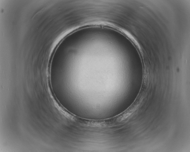 X0000085280951200703231804