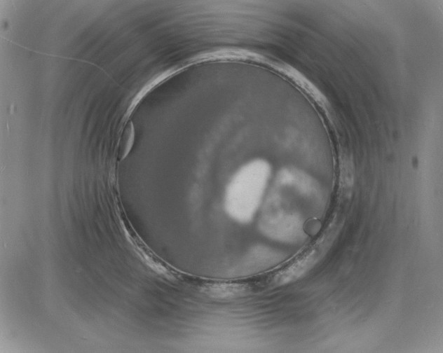 X0000085280953200703231804