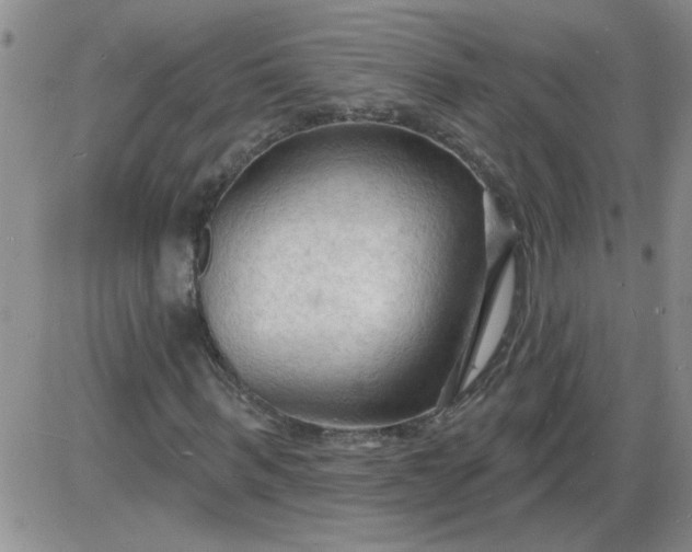 X0000085280963200703231803