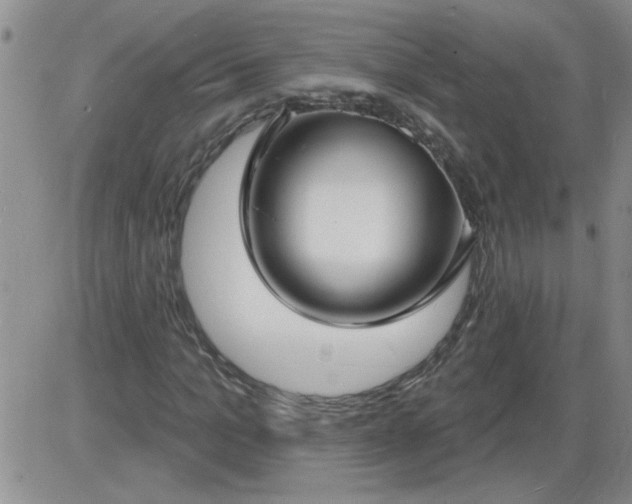 X0000085280965200703231803