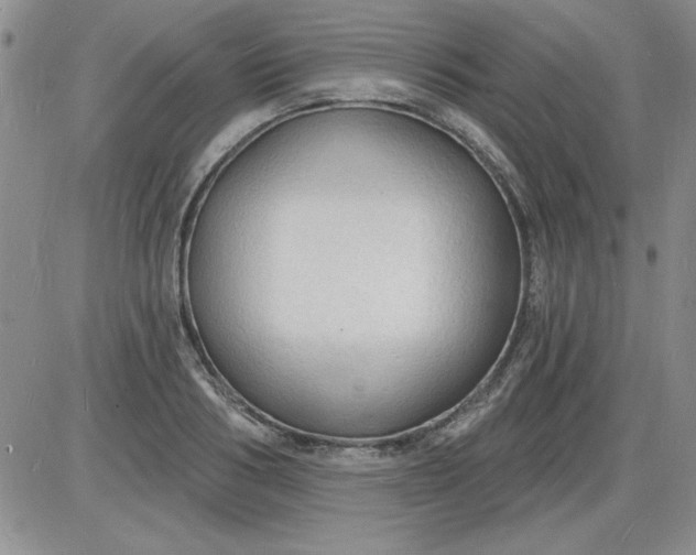 X0000085280986200703231803