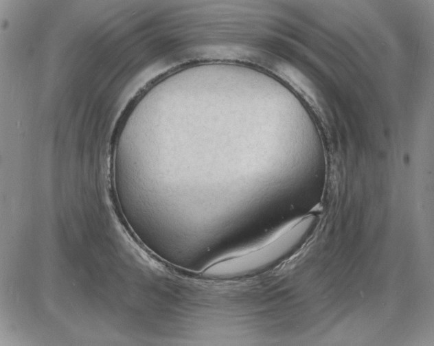 X0000085280992200703231802