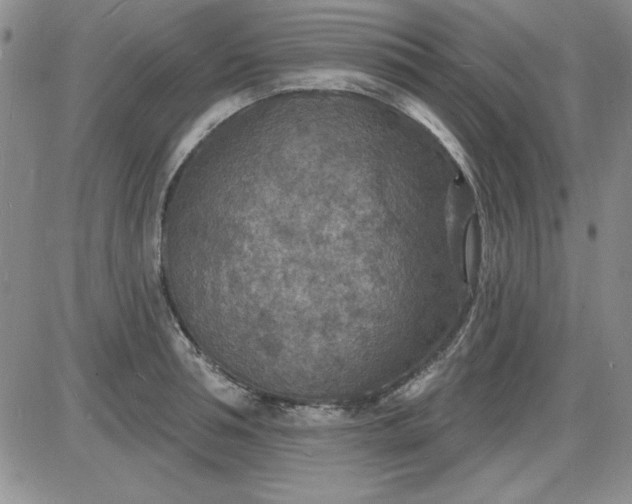 X0000085280994200703231802