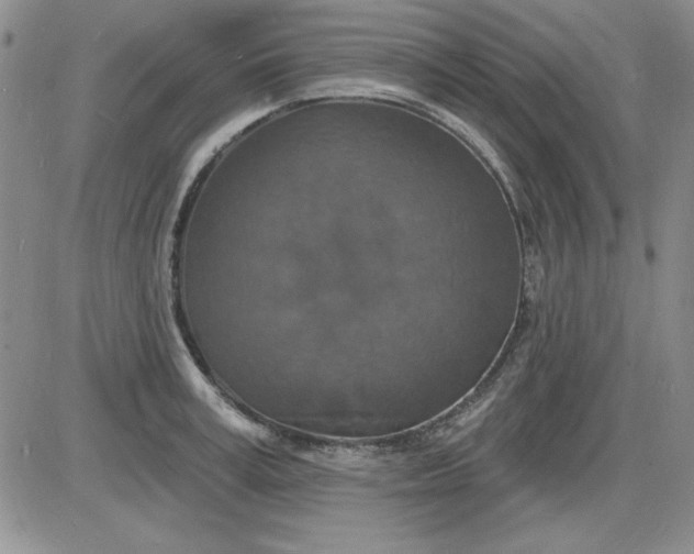 X0000085280995200703231802
