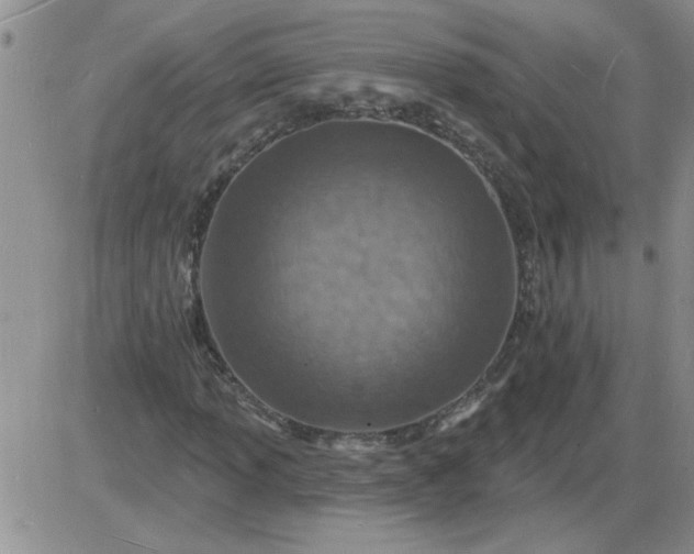 X0000085281013200703231801