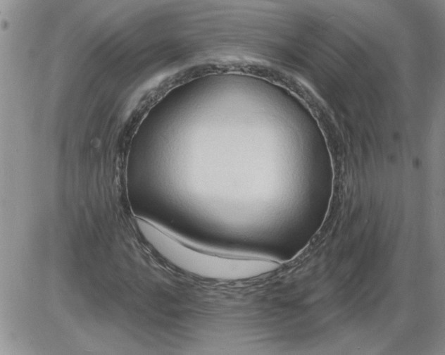 X0000085281016200703231801