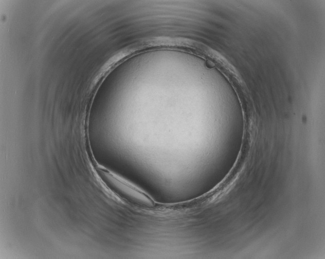 X0000085281033200703231802