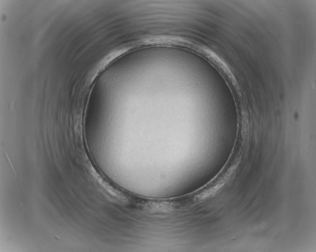 X0000085281041200703231802