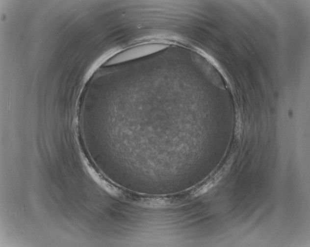 X0000085281042200703231802