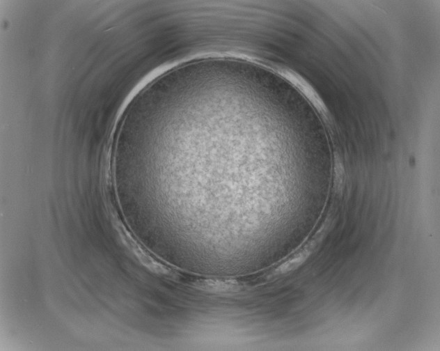X0000085281052200703231802