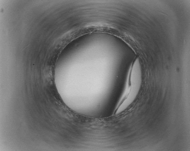 X0000085281062200703231801