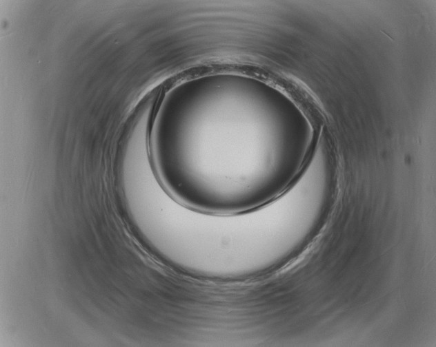 X0000085281065200703231801