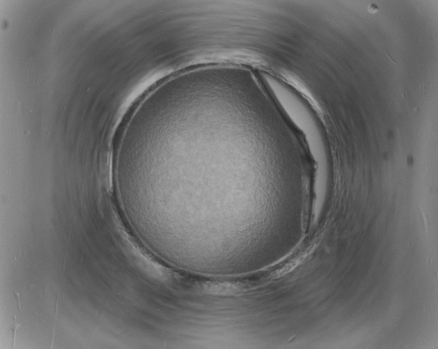 X0000085281079200703231801