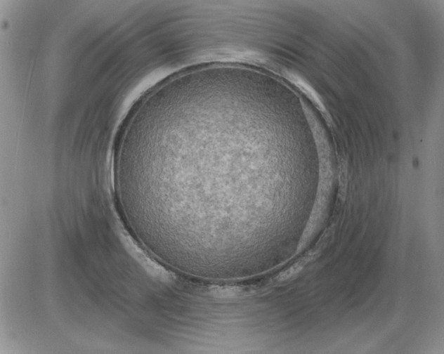 X0000085281080200703231801